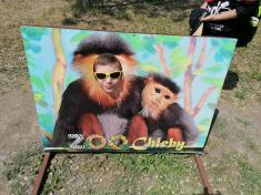 ZOO Chleby