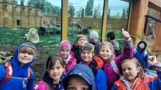 ZOO CHLEBY