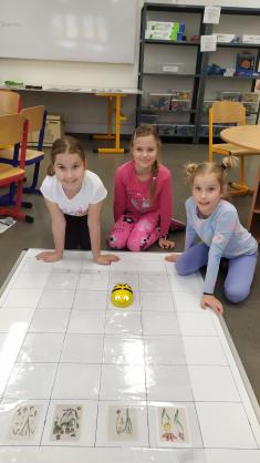 Projektový den Rostliny