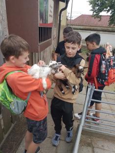 Za zvířátky do  ZOO Chleby - 5. B