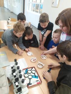 Pravěk - projektová výuka ve 4.A