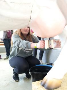 Soutěž Mladý zemědělec 