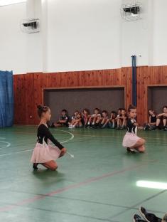 ZŠ Vrdy má talent